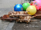 BILD6561