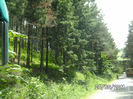 BILD6690