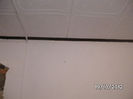 BILD0804