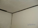 BILD0805