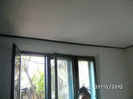 BILD0810