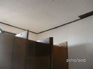 BILD0811