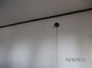 BILD0816