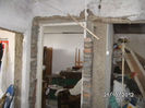 BILD0818