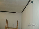 BILD0820