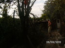 BILD0667