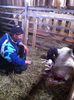 Poze animale 015