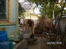 BILD0671