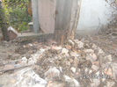 BILD0672