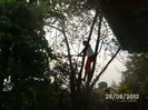 BILD0676