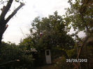 BILD0677