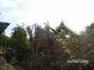 BILD0679
