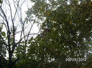 BILD0681