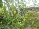 BILD0683