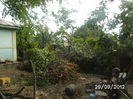BILD0690