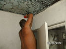 BILD0712
