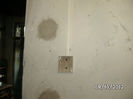 BILD0713