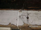 BILD0725