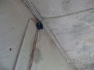 BILD0726