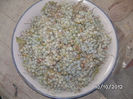 BILD0738