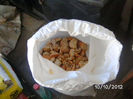 BILD0755