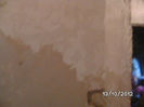 BILD0761
