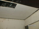 BILD0769