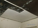 BILD0773
