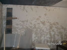 BILD0776