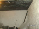 BILD0784