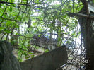 BILD0034