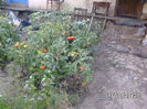 BILD0534