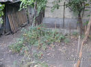 BILD0535