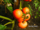 BILD0547