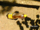 BILD0556