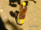 BILD0557