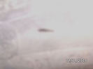 BILD0581