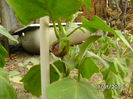 BILD0610