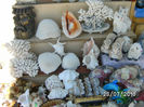 BILD0034