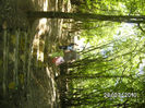 BILD3072