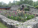 BILD0136