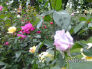 BILD0148