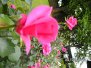 BILD0150