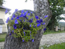 BILD0162