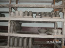BILD0224