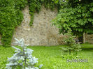 BILD6037