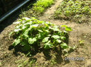 BILD9644