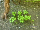 BILD9638
