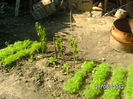 BILD9646