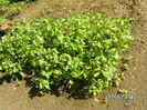 BILD9650